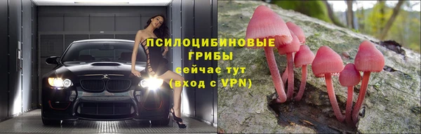 ПСИЛОЦИБИНОВЫЕ ГРИБЫ Абинск