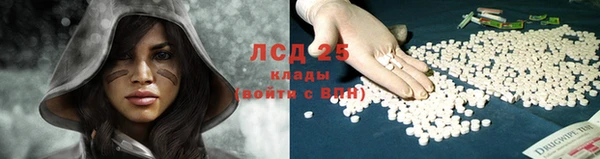 шишки Беслан