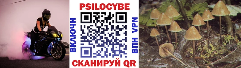 Галлюциногенные грибы Psilocybine cubensis  гидра ONION  Ардатов 